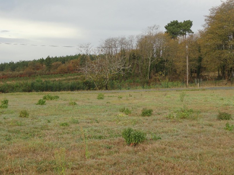 photo principale
