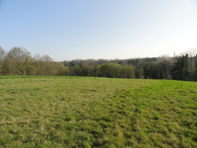 photo principale