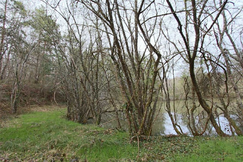 photo principale