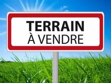 Plus de détails sur l'annonce 3162
