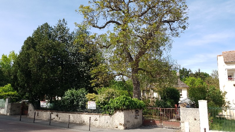 PAVILLON 5 pi�ce(s) 