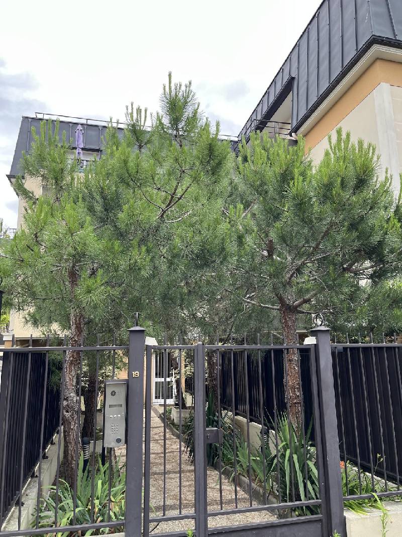 VENTE - APPARTEMENT - NEUILLY PLAISANCE - 93360
