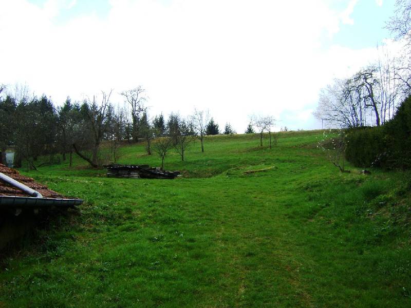 vente Terrain NEUVILLERS SUR FAVE