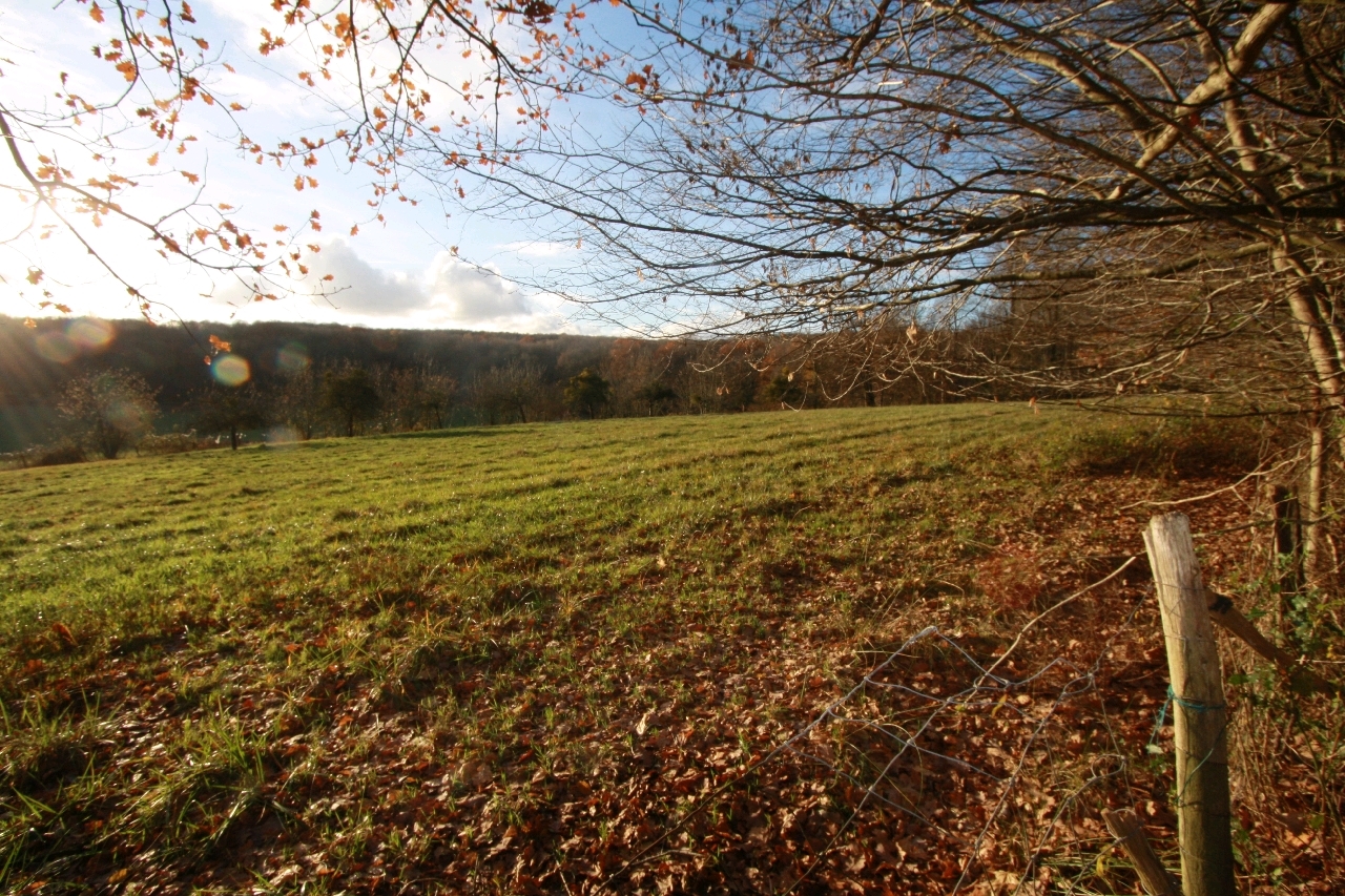 TERRAIN CONSTRUCTIBLE 0 pice(s) 