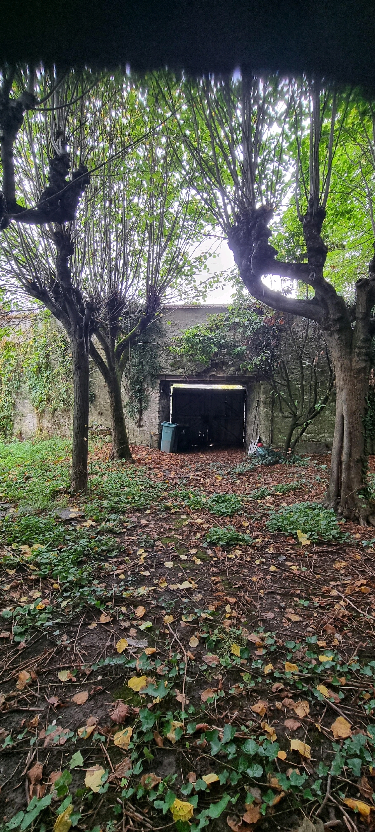 TERRAIN CONSTRUCTIBLE 0 pice(s) Les Martraits