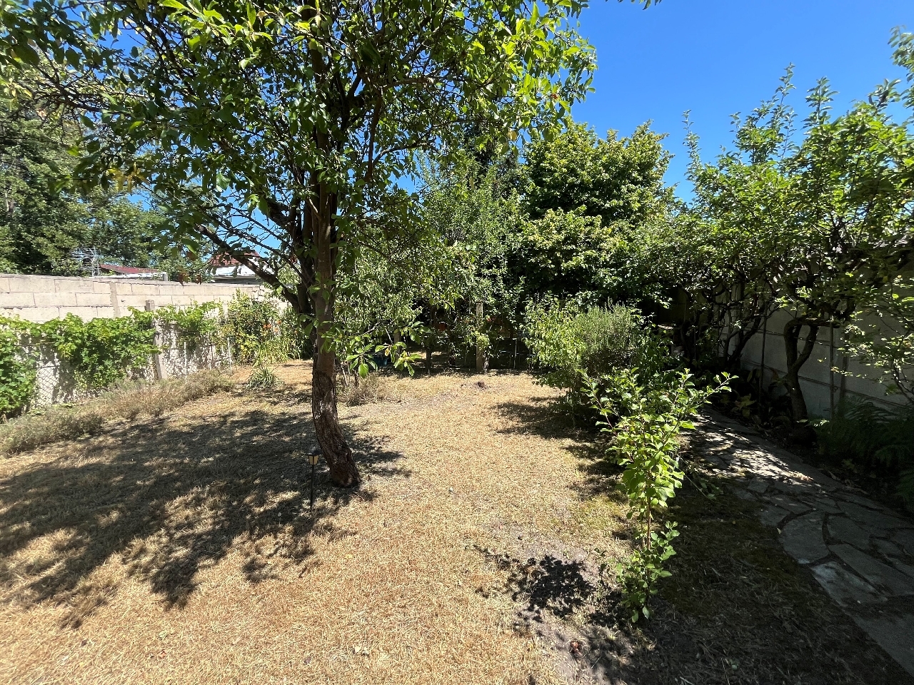 404149-1.jpg