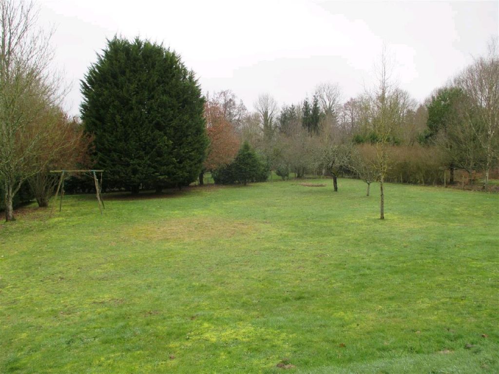 131437466-2.jpg