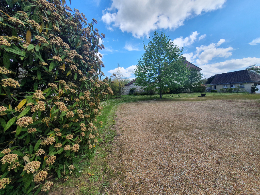 145635148-10.jpg