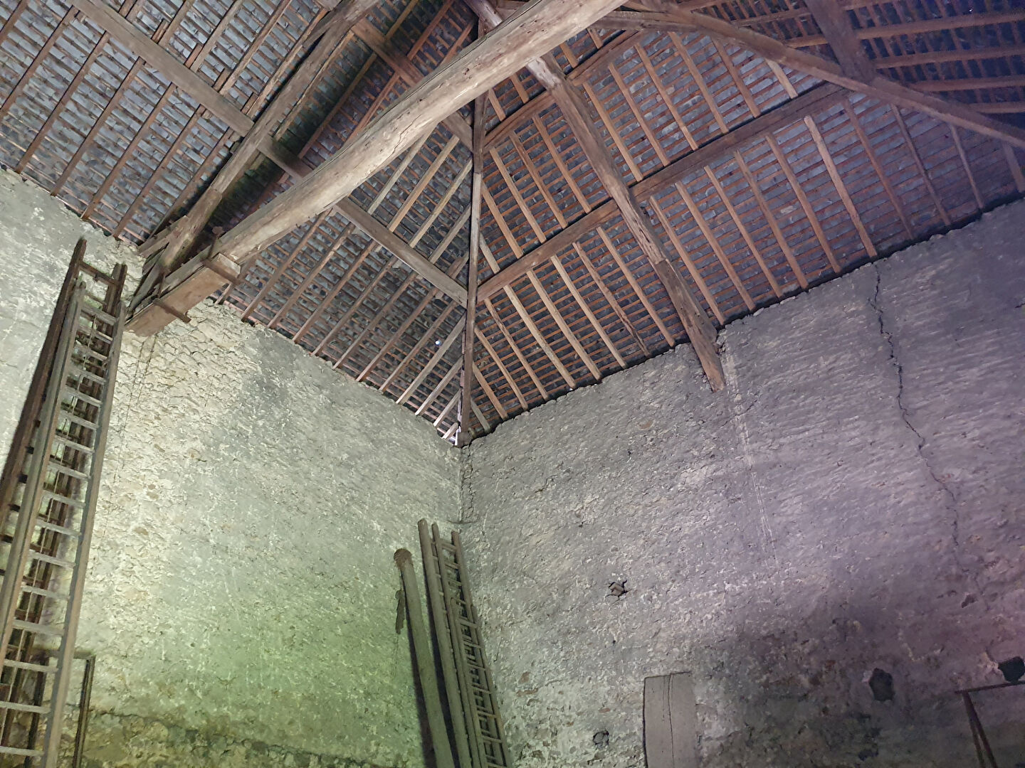 149706636-4.jpg