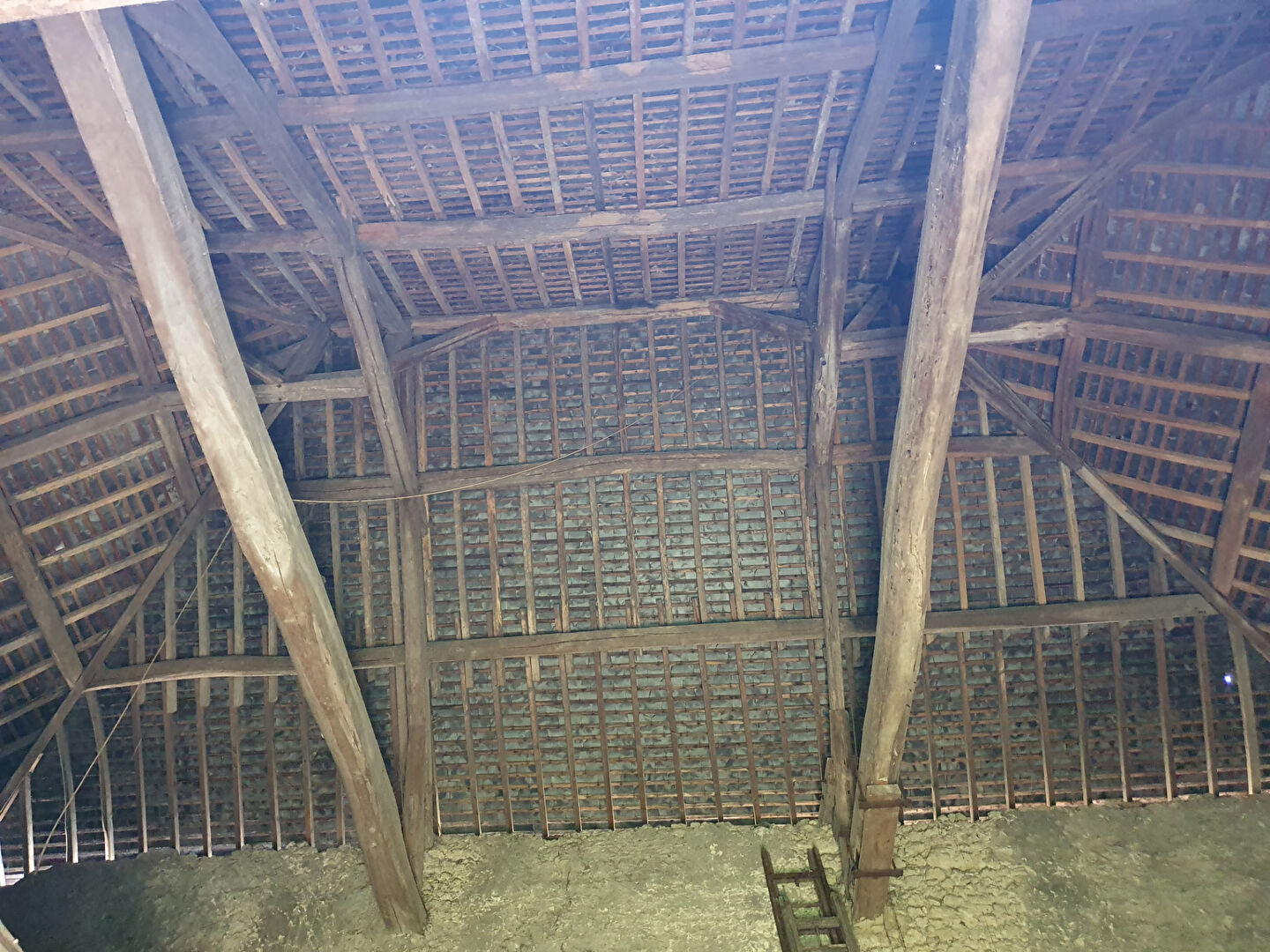 149706636-6.jpg