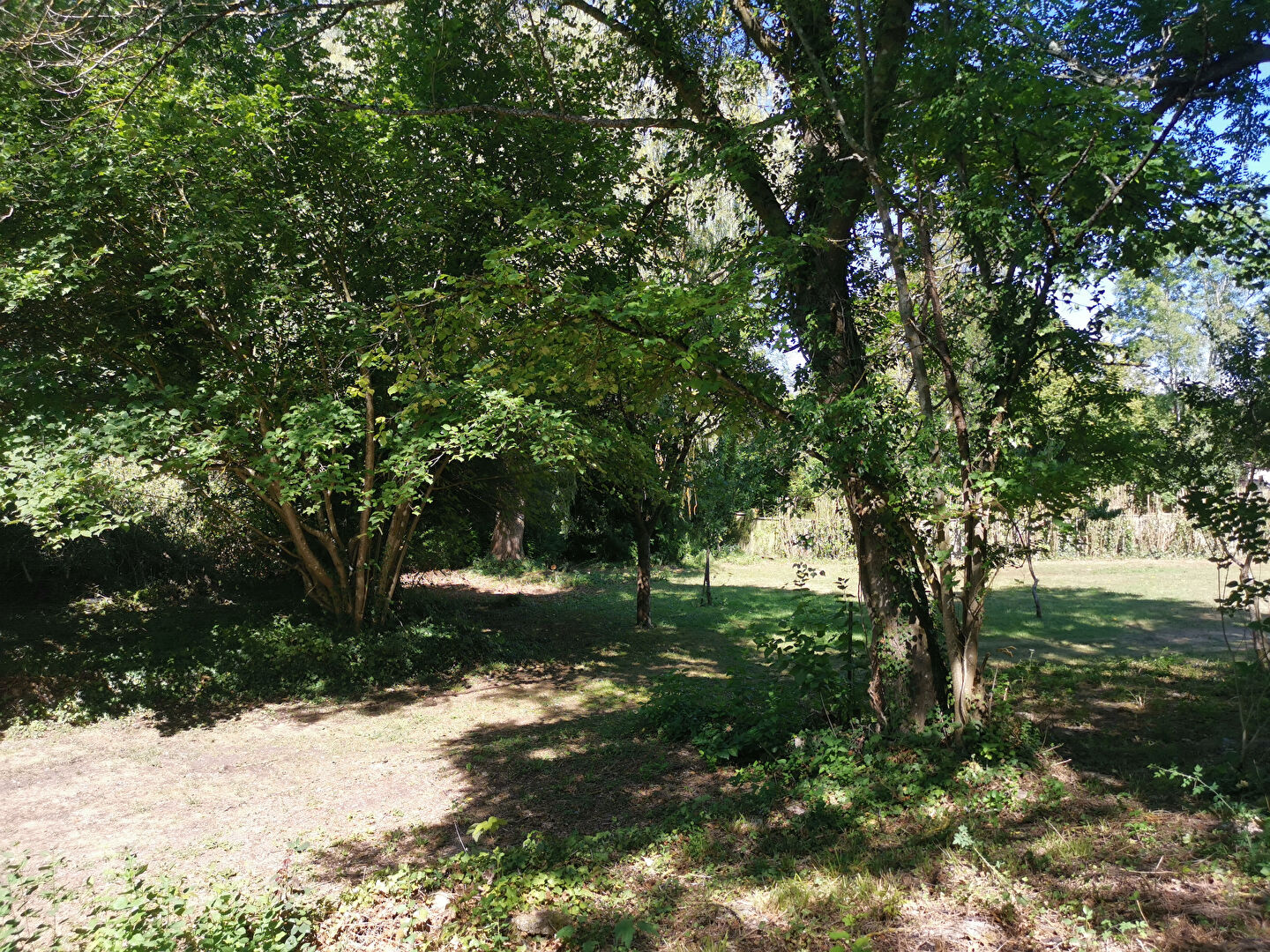 150724628-5.jpg