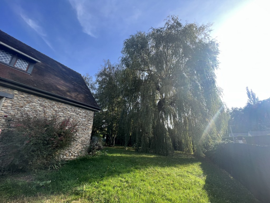 151900169-9.jpg