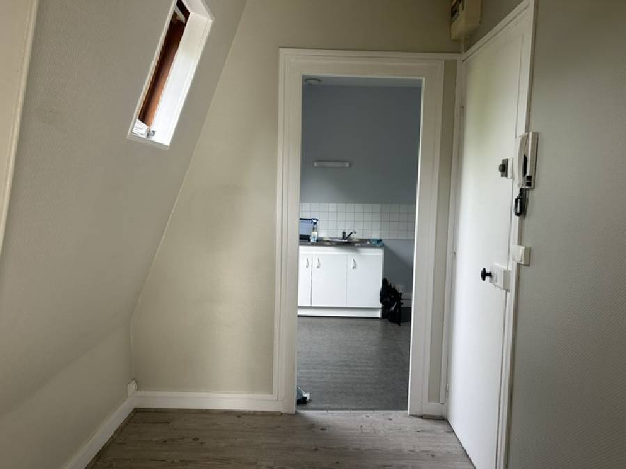 2010021-1.jpg