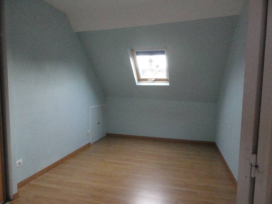 527003-3.jpg