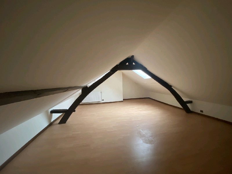 6557-4.jpg