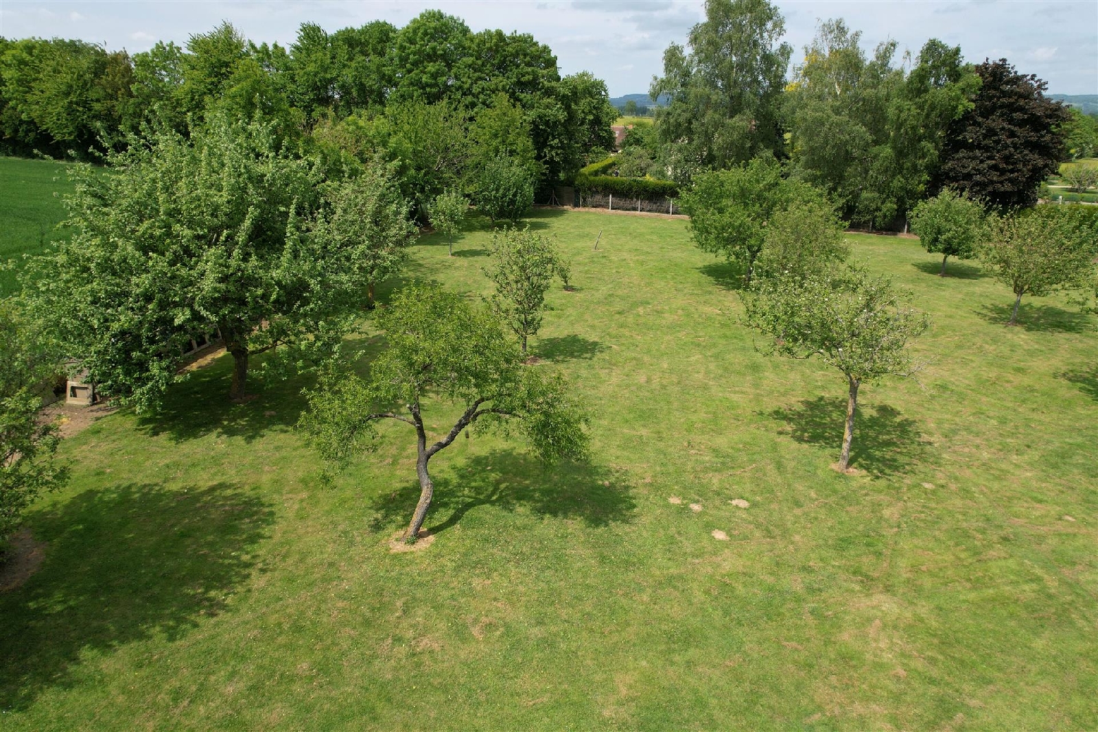 102234-1.jpg