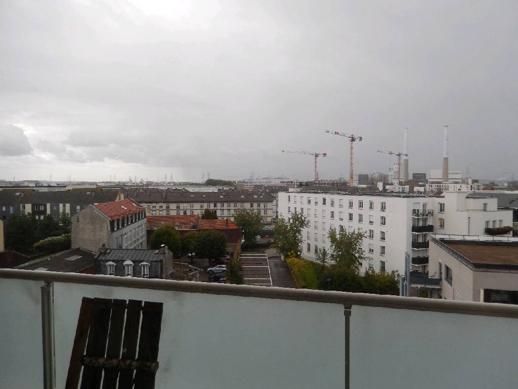 1236-4.jpg