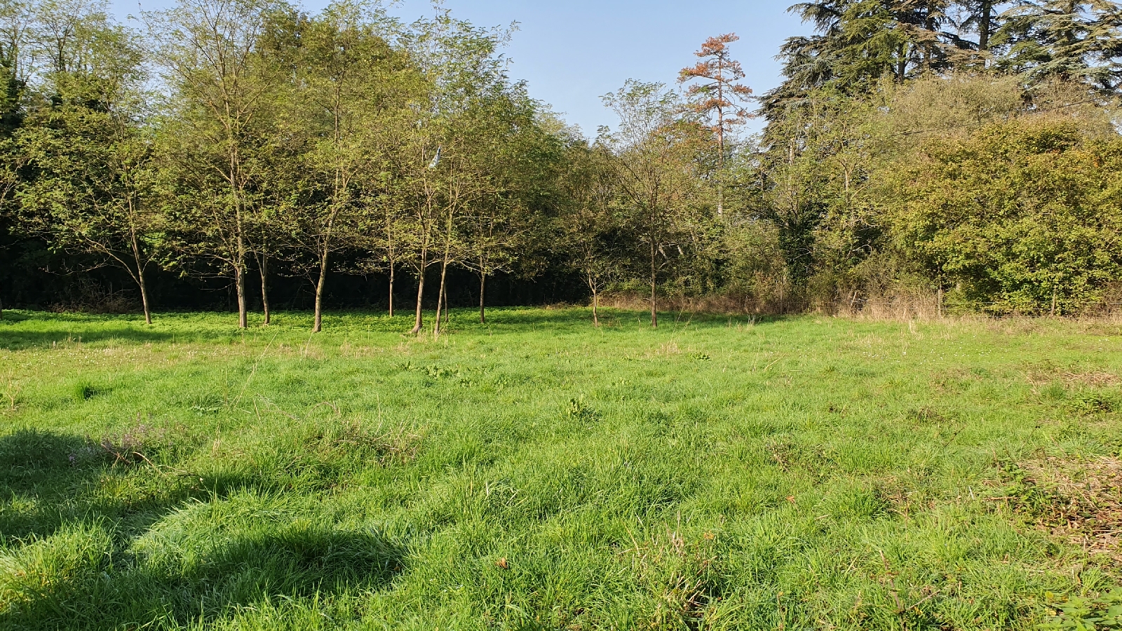 TERRAIN 0 pice(s) JONS(69330)