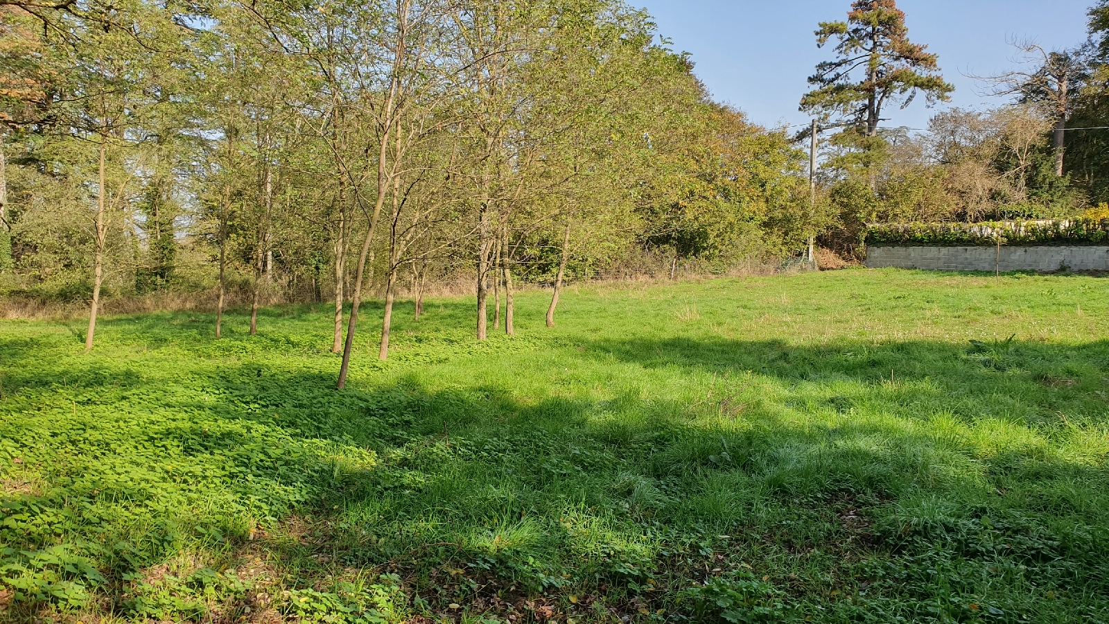 TERRAIN 0 pice(s) JONS(69330)
