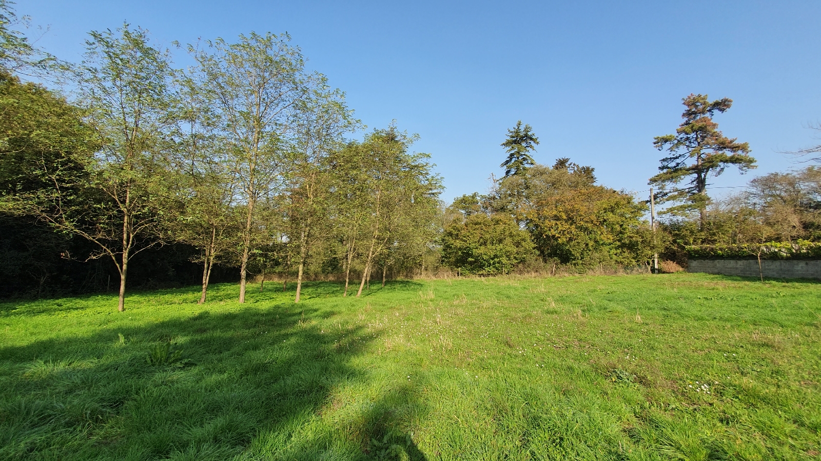TERRAIN 0 pice(s) JONS(69330)
