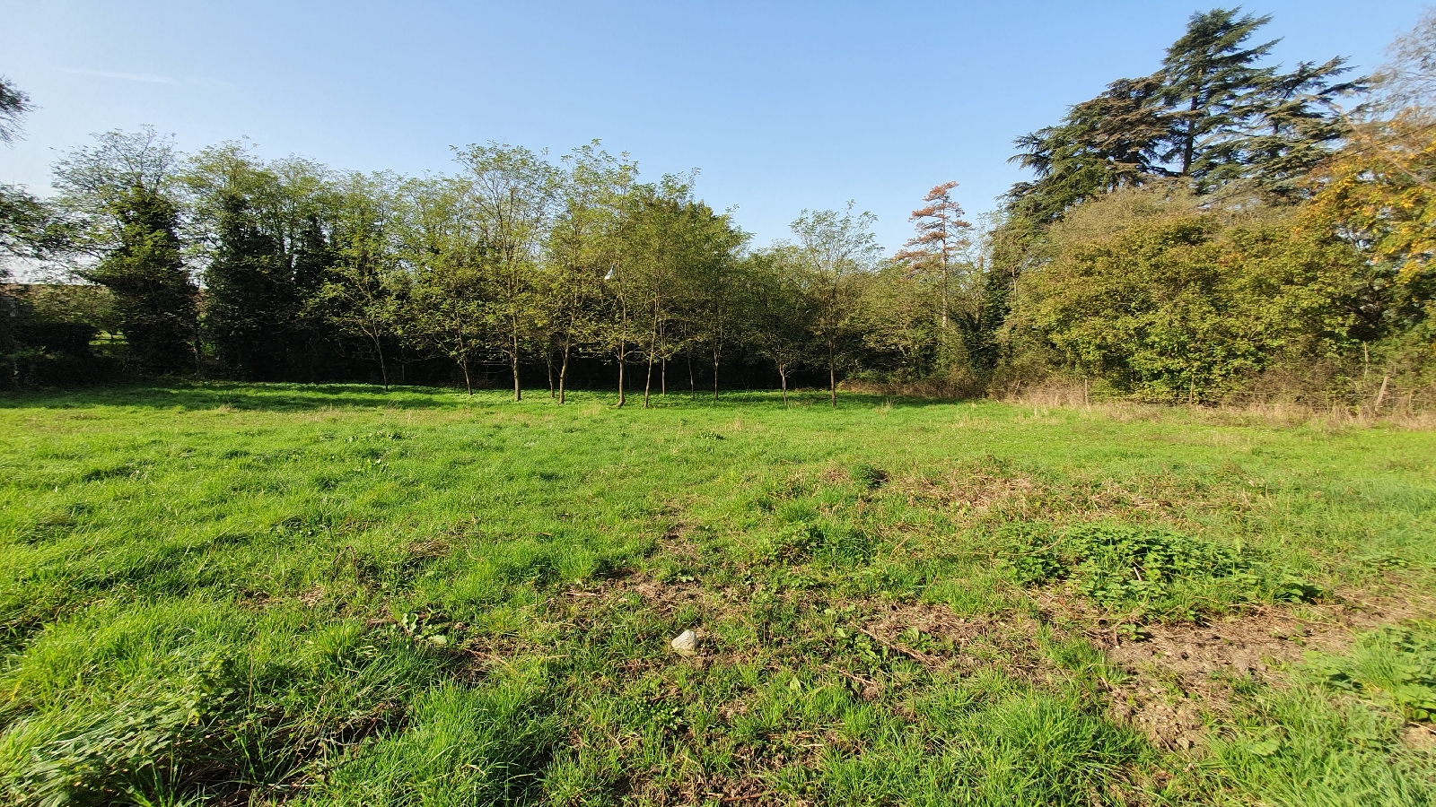 TERRAIN 0 pice(s) JONS(69330)