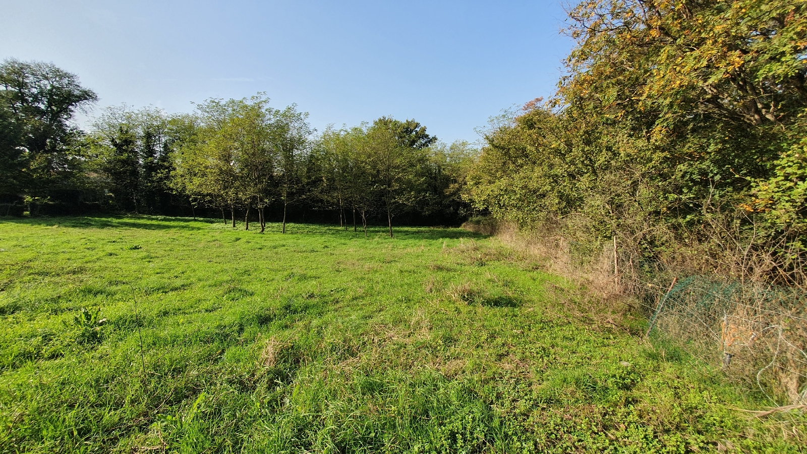 TERRAIN 0 pice(s) JONS(69330)