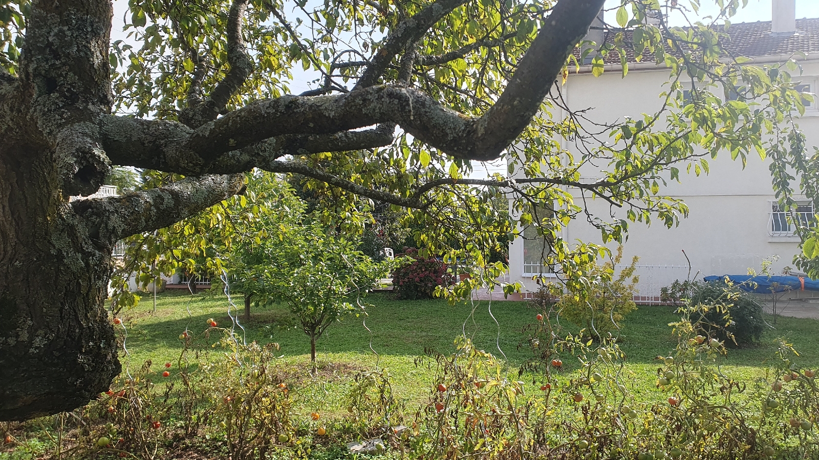 MAISON 5 pice(s) MEYZIEU(69330)